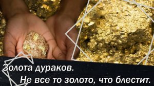 Золота дураков. Не все то золото, что блестит