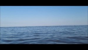 По Азовскому морю 05.2024