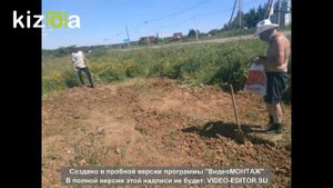 СНТ "Звездочка-2" (сергиев посад) Было и стало...