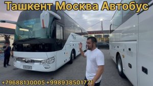 Ташкент Москва Автобус Масква_Ташкент_Автобус