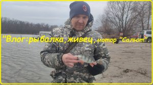 Влог: Рыбалка, живец, мотор "Салют".