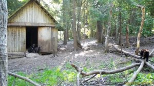 Всем доброго зимнего утра! Предлагаем вам вернуться на пару минут в теплую весну!