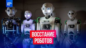 Робот увел 12 собратьев из выставочного зала в Китае