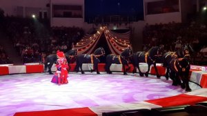 Цирк Лошади - 1001 песенка