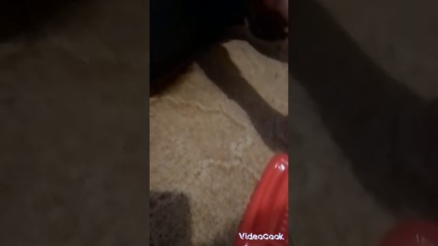 настольные игры