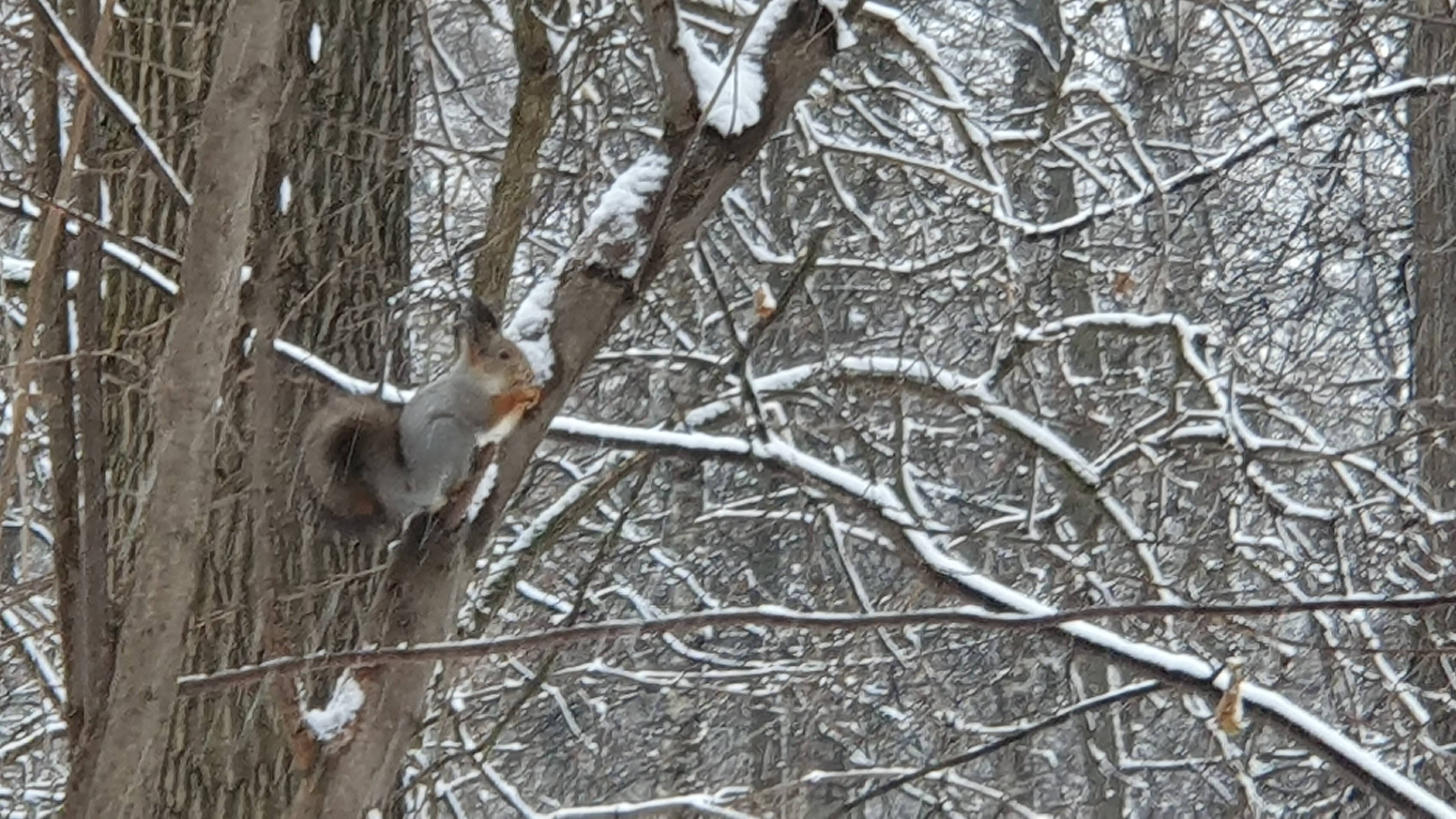 Суббота в парке Останкино смотреть онлайн