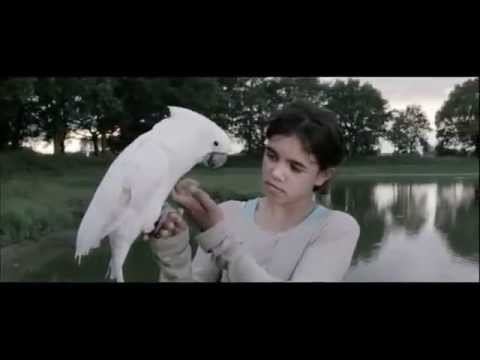 ABOVE US ALL Ein 3D Film ohne 3D Effekte mp4 смотреть онлайн