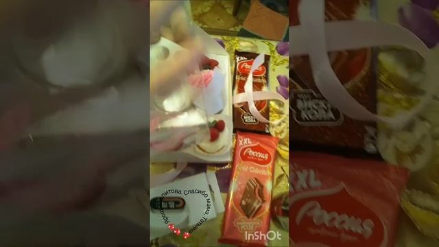 Спасибо мама. Татьяна Ярош-Агапитова. Дора русский спаниель.