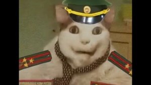 Бу!_Испугался_не_бойся,_но_это_военкомат