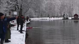 Рыбалка на нижнем водоёме украшена зимним, сказочным лесом. Клёвое место Лосиный остров.