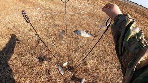 ЗАПУЛИЛ ХАПУГУ И ПОПЛАВОК ЗАПЛЯСАЛ! КРУПНАЯ ПЛОТВА ИДЁТ ОДНА ЗА ОДНОЙ. Рыбалка на ХАПУГУ- ХЛОПОК.