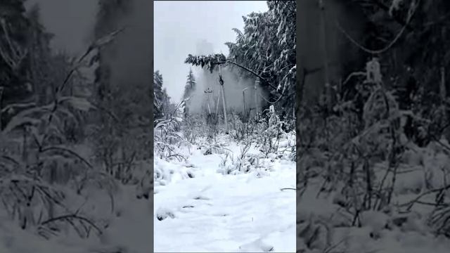 В Калужской области деревья падают на линии электропередач из за снегопада