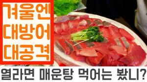 Eng)대방어는 역시 겨울이지 (ft .소맥) giant amberjack season (ft.somaek)