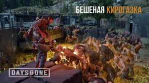 DAYS GONE Орда у старой лесопилки - Бешеная кирогазка)