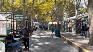 Прекрасная прогулка, по центру МАНХЭТТЕНА!