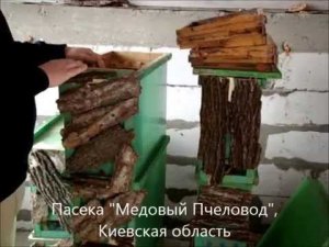Ловля роев - ловушки для пчел. Часть1.