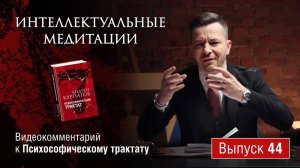 Интеллектуальные медитации. Видеокомментарий к Психософическому трактату: выпуск 44