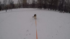 разной давности следы на старте