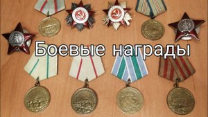 Боевые награды В. О. В.