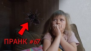 100 ПРАНКОВ над младшей сестрой !