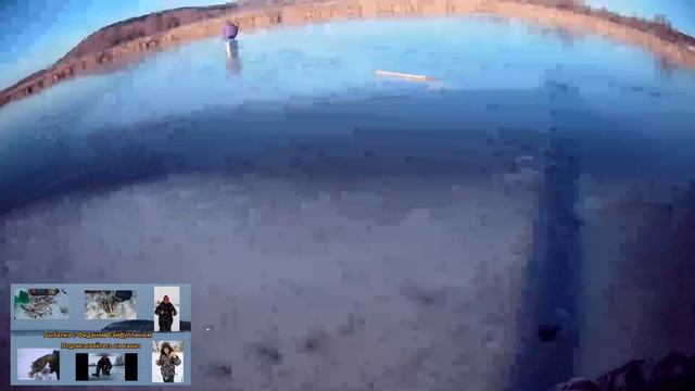 Первый лед 2024-2025🎣 Рыбачил на Старице на мормышку. Рыбачил на кусочки печени🎣