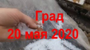 Град 20 мая 2020 на огороде Псковская область