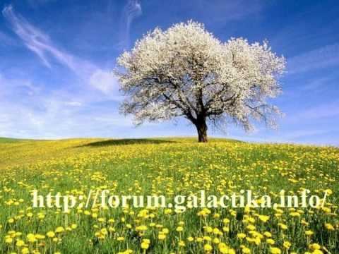 Эзотерический прогноз на неделю 28.05- 03.06.2010