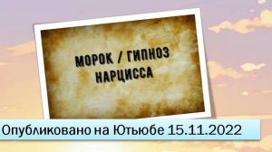 Морок, гипноз нарцисса (15.11.2022)