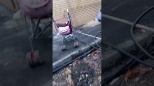 реборн гуляет Агата