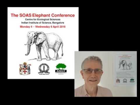 Elephants in Islamic history, Elephant Conference 2016, SOAS University of London смотреть онлайн