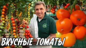7 СУПЕР ВКУСНЫХ ТОМАТОВ! ИЗУМИТЕЛЬНО СЛАДКИЕ ПОМИДОРЫ ОТ СЕМКО / САМЫЕ ЛУЧШИЕ СОРТА И ГИБРИДЫ