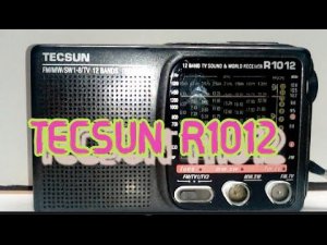 Обзор.TECSUN R1012