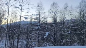 ...это Родина моя,Магадан !