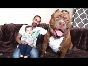 Неврома Моя Ужасная История