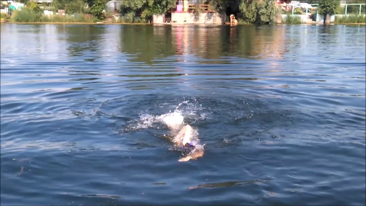 #зеленыйфитнес Swimming every day keeps a doctor away! 健身就是生活
