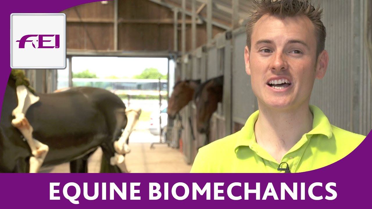 Equine Biomechanics - FEI Equestrian Snapshots