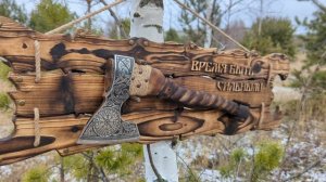 PXL_20241124_091218200