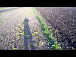 Подготовка земли к посеву сои.