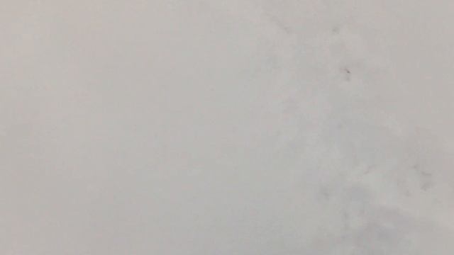 Прогулялся | Цей