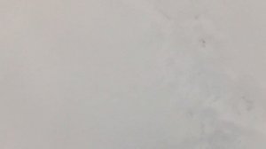 Прогулялся | Цей