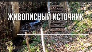 Семик. Св. источник у дер. Долбилово. Советский район. Вятка.