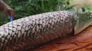 Соленые утиные яйца, рыба-Монстр. Бангкок, Таиланд. https://t.me/WORLDSTREETFOOD2024