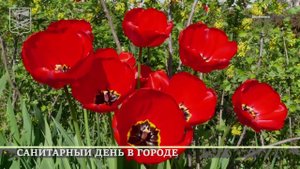 Кореновск. Санитарный день.