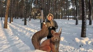 Санаторий Парус Резорт. ХОМЯК И БЕЛКА.