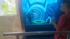 Аквапарк "АКВАЛОО"