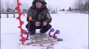 Щука атакует жерлицы, жор, загары один за другим, самая лучшая рыбалка))).