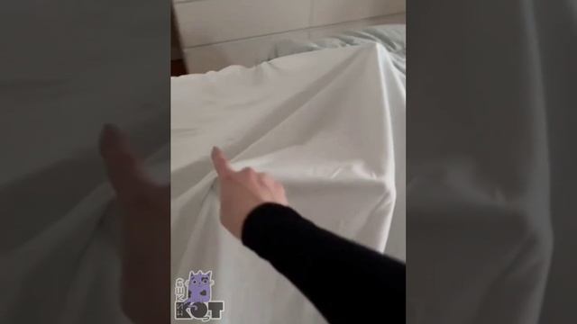 здорово придумал