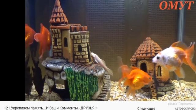 121 укрепляем память