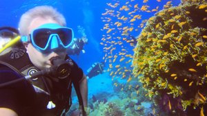 Дайв на рифы - Иоланда и Шарк риф 15.11.24!👌🐠🐡🦈🪸❤️💯💥