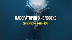 ЛАБОРАТОРИЯ В ЧЕЛОВЕКЕ: СЕАНС ЧИСТКИ